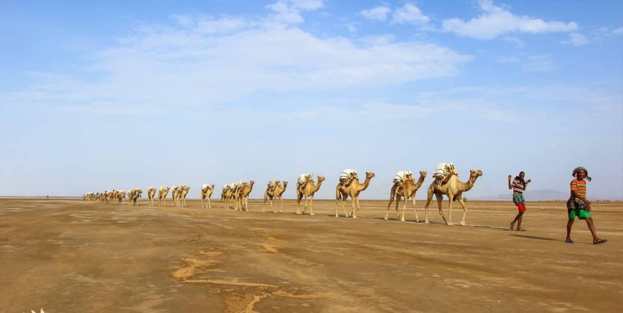 Felipe Pelaquim Image