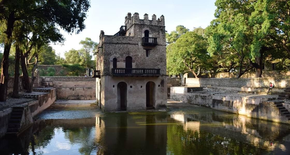 Felipe Pelaquim Image