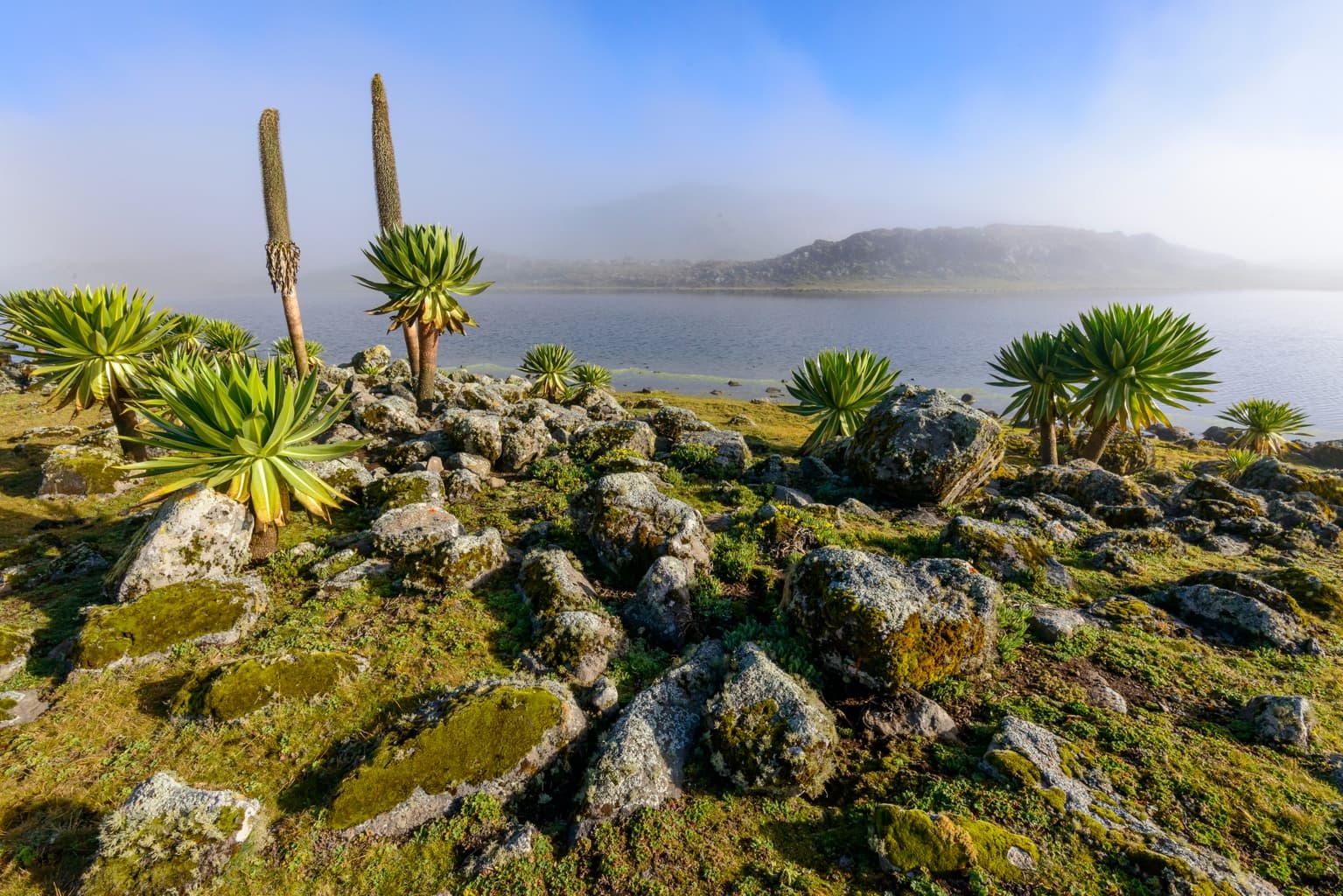 Bale Mountains: Ethiopia’s Best Kept Secret
