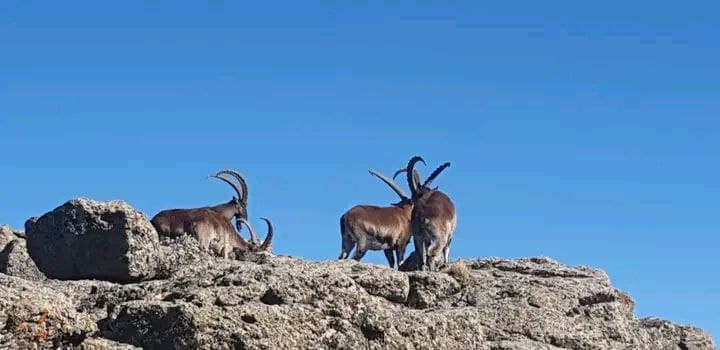 WhyChooseUs Image one